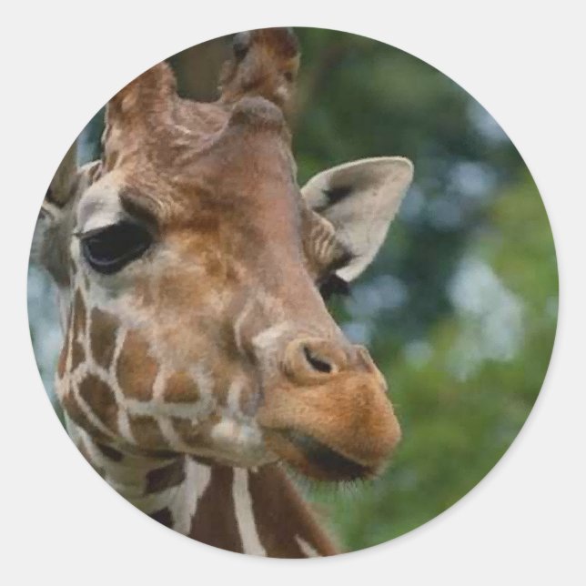Pegatina Redonda Giraffe Lovers Regalos de Arte (Anverso)