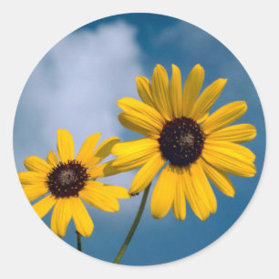 Pegatina Redonda Girasol