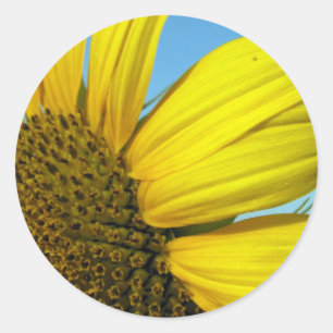 Pegatina Redonda Girasol