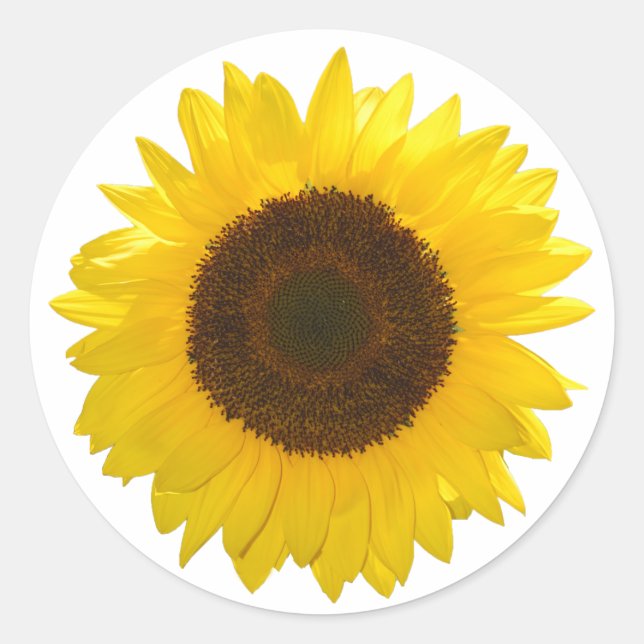 Pegatina Redonda Girasol (Anverso)