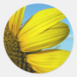 Pegatina Redonda Girasol