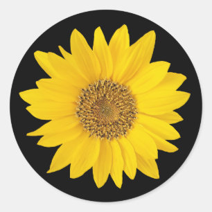 Pegatina Redonda Girasol amarillo en negro
