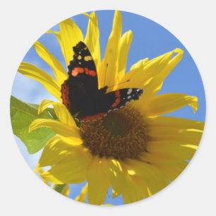 Pegatina Redonda Girasol Amarillo y Mariposa Almirante Rojo