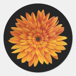 Pegatina Redonda girasol floral de moda 