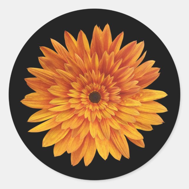 Pegatina Redonda girasol floral de moda  (Anverso)