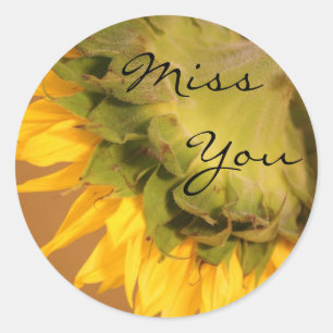 Pegatina Redonda Girasol, te extraño