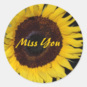 Pegatina Redonda Girasol, te extraño