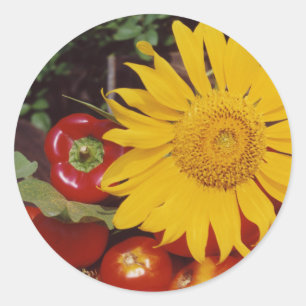Pegatina Redonda Girasol y verduras - Tomates, pimientos rojos