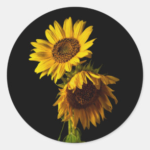 Pegatina Redonda Girasoles