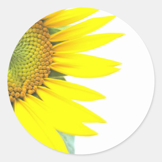 Pegatina Redonda Girasoles de primavera (Anverso)