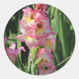 Pegatina Redonda Gladiolus