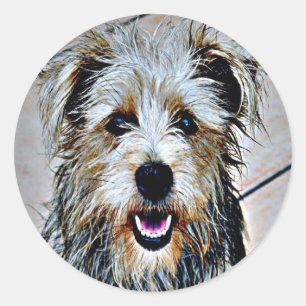 Pegatina Redonda Glen of Imaal Terrier