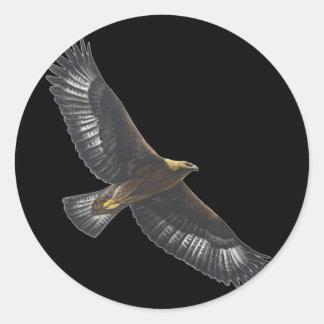 Pegatina Redonda Glorius Golden Eagle Soaring