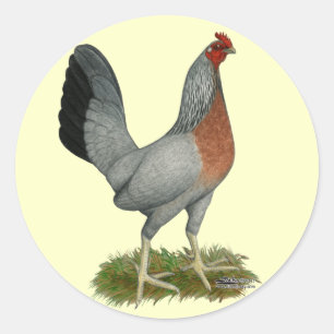 Pegatina Redonda Golden Duckwing Hen