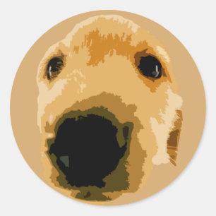PEGATINA REDONDA GOLDEN RETRIEVE DOG BROWN