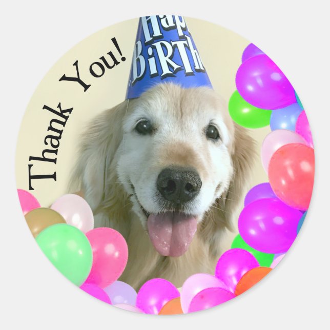Pegatina Redonda Golden Retriever Con Globos Gracias Cumpleaños (Anverso)