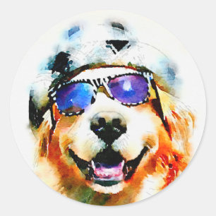 Pegatina Redonda Golden Retriever en Gorra y acuarela de gafas de s