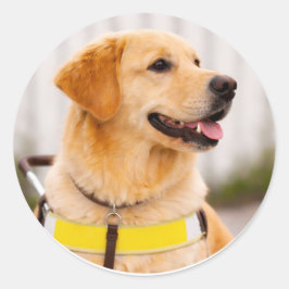 Pegatina Redonda Golden Retriever Guide Dog Right Profile