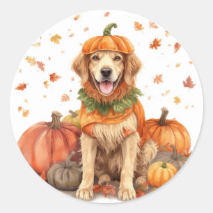 Pegatina Redonda Golden Retriever Halloween Calabaza Otoño