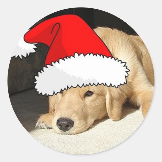 Pegatina Redonda Golden Retriever Navidades Puppy (Anverso)