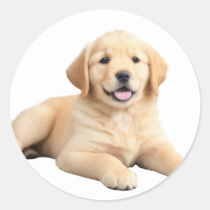 Pegatina Redonda Golden Retriever Puppy