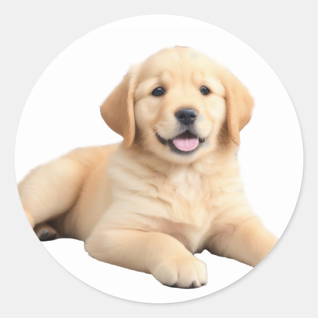 Pegatina Redonda Golden Retriever Puppy (Anverso)
