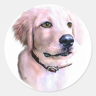 Pegatina Redonda Golden Retriever Puppy