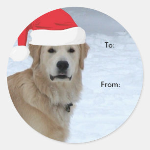 Pegatina Redonda Golden Retriever To/From Christmas stickers
