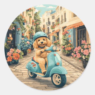 Pegatina Redonda Goldendoodle Perro Montando Scooter Calles Europea