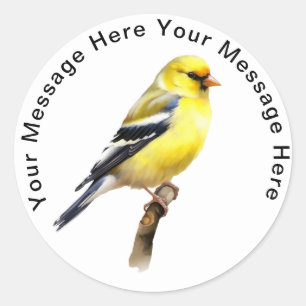 Pegatina Redonda Goldfinch americano