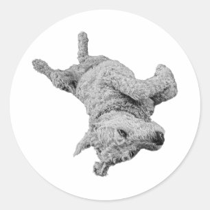 Pegatina Redonda Goofball Energy