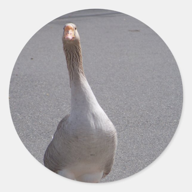 Pegatina Redonda ¡Goose! (Anverso)