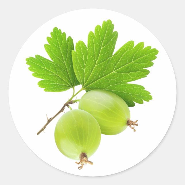 Pegatina Redonda Gooseberries (Anverso)