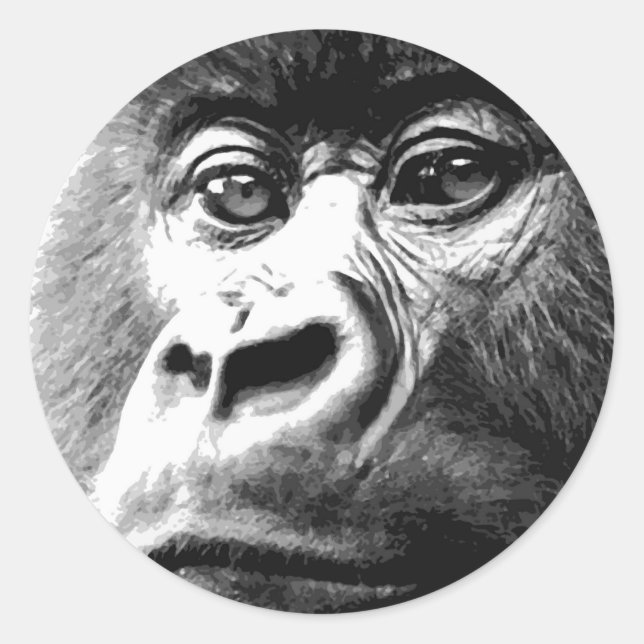 Pegatina Redonda Gorila (Anverso)