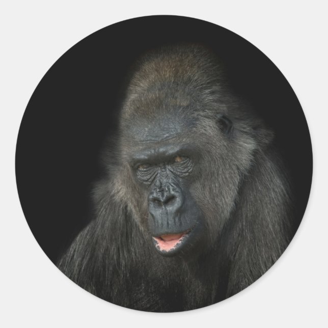 Pegatina Redonda Gorilla Biddy (Anverso)