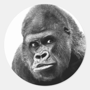 Pegatina Redonda Gorilla blanca negra