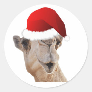 Pegatina Redonda Gorra del camello de Hump Day Santa Claus
