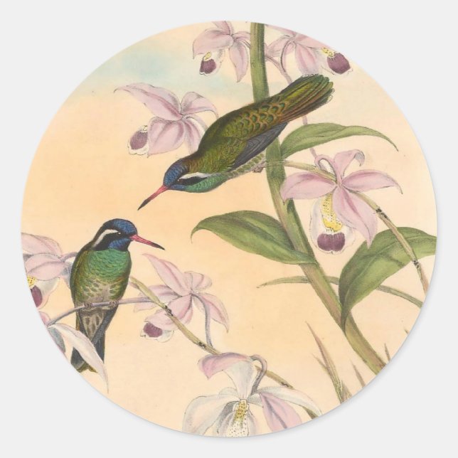 Pegatina Redonda Gould Hummingbirds y Orchids (Anverso)