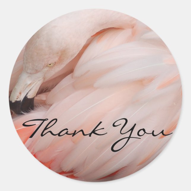 Pegatina Redonda Gracets Flamingo Gracias (Anverso)