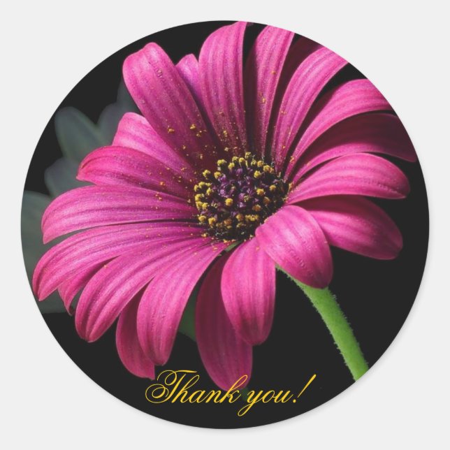 Pegatina Redonda ¡Gracias Gerber Rosa! (Anverso)