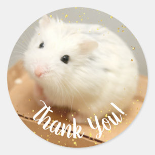 Pegatina Redonda Gracias - Hammyville White Hamster Square Stick