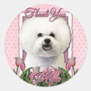 Pegatina Redonda Gracias - los tulipanes rosados - Bichon Frise