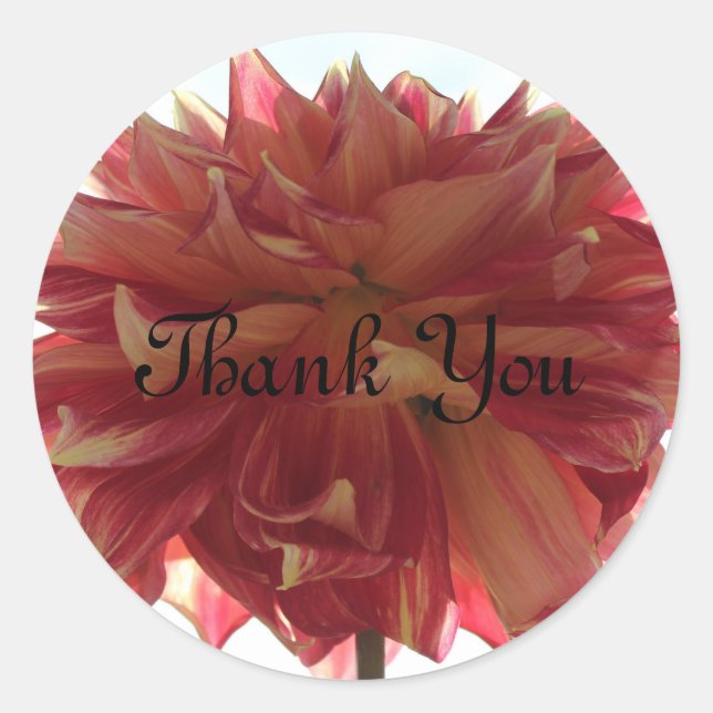 Pegatina Redonda Gracias pegatinas (Anverso)