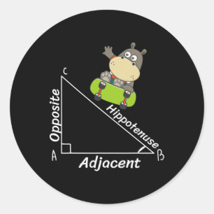 Pegatina Redonda Graciosa Geometría Hipo Skater Hipotenusa Math Boy