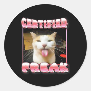 Pegatina Redonda Gracioso meme gato - Meme de gato Freak Funny cert