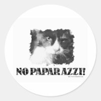 Gracioso No Paparazzi Cat