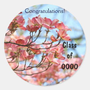 Pegatina Redonda Graduación Clase de pegatinas Felicitaciones Grads