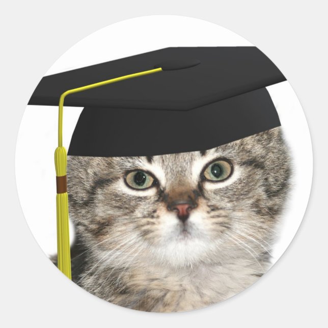 Pegatina Redonda Graduados gatitos (Anverso)