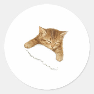 Pegatina Redonda Gráfica de gato dormido, camiseta vintage de amant