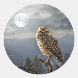 Pegatina Redonda Gráfica de Spooky Owl Moon
